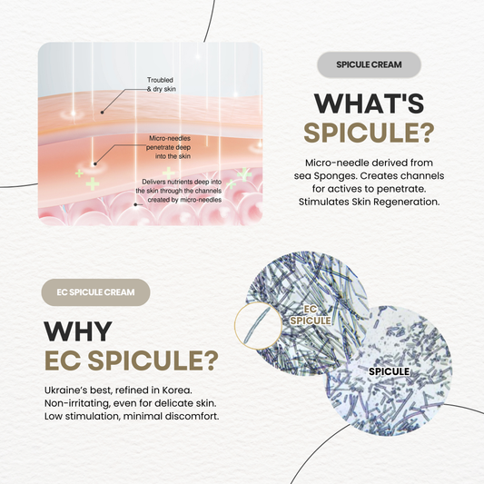 La Noubelle MPC Spicule Cream