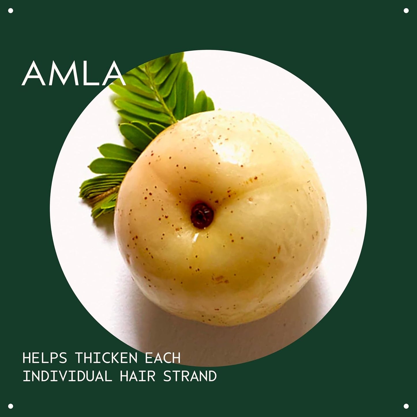 Aveda Men Pure-Formance Thickening Paste