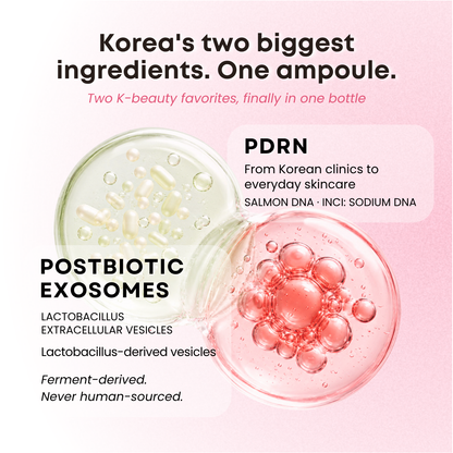 La Noubelle PDRN EXOSOME Booster Ampoule 50ml