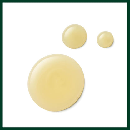 Aveda Damage Remedy Restructuring Shampoo & Conditioner Duo