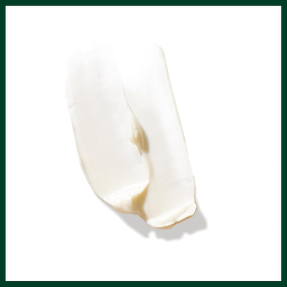 Aveda Men Pure-Formance Thickening Paste