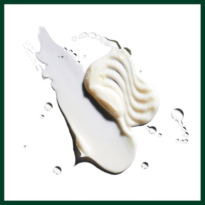 Aveda Nutriplenish Deep Moisture Shampoo & Conditioner Duo