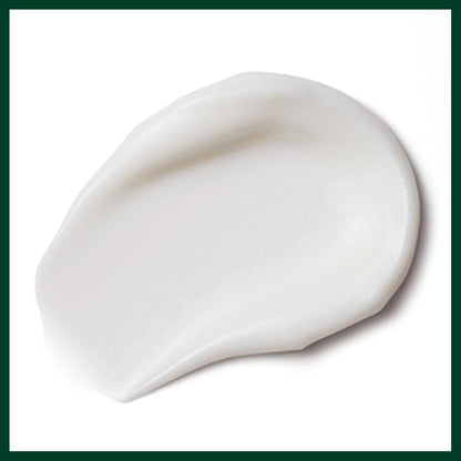 Aveda Nutriplenish Treatment Masque Light Moisture