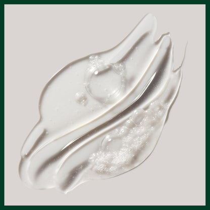 Aveda Rosemary Mint Purifying Shampoo