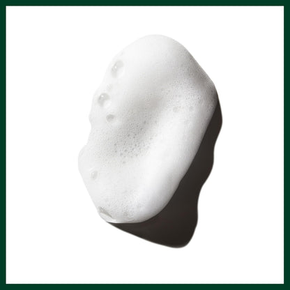 Aveda Phomollient Styling Foam
