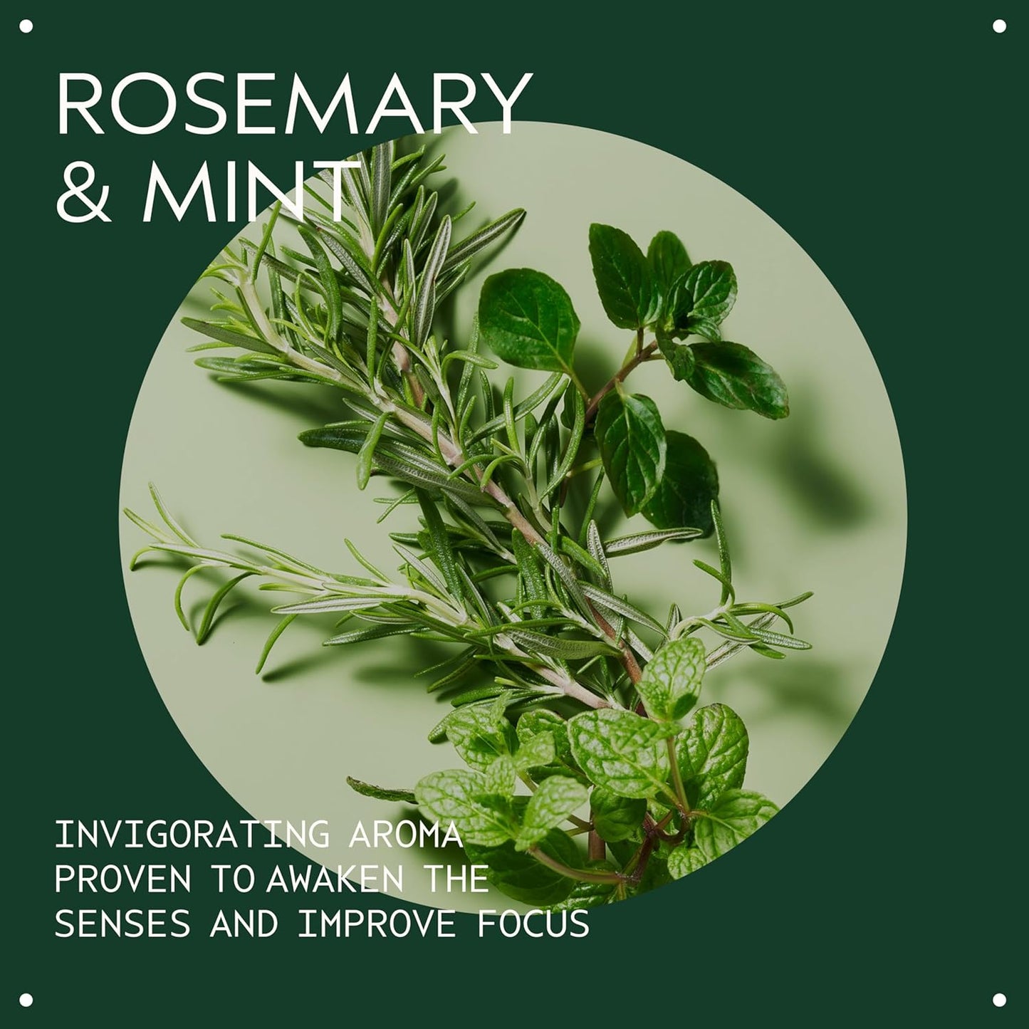 Aveda Rosemary Mint Purifying Shampoo