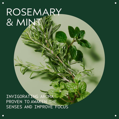 Aveda Rosemary Mint Purifying Shampoo
