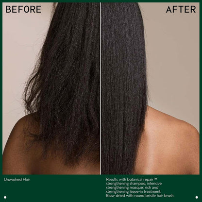Aveda Botanical Repair Intensive Strengthening Masque Rich