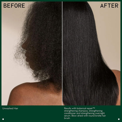Aveda Botanical Repair Strengthening Shampoo & Conditioner Duo