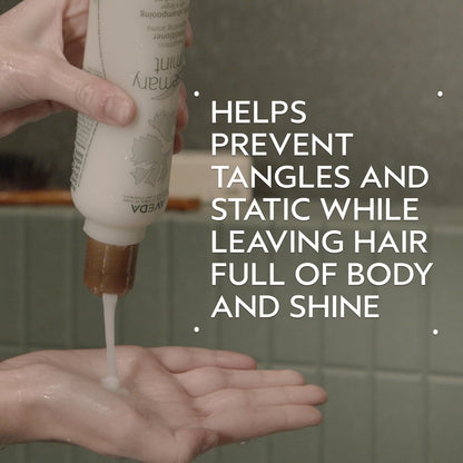 Aveda Rosemary Mint Purifying Shampoo & Conditioner Duo