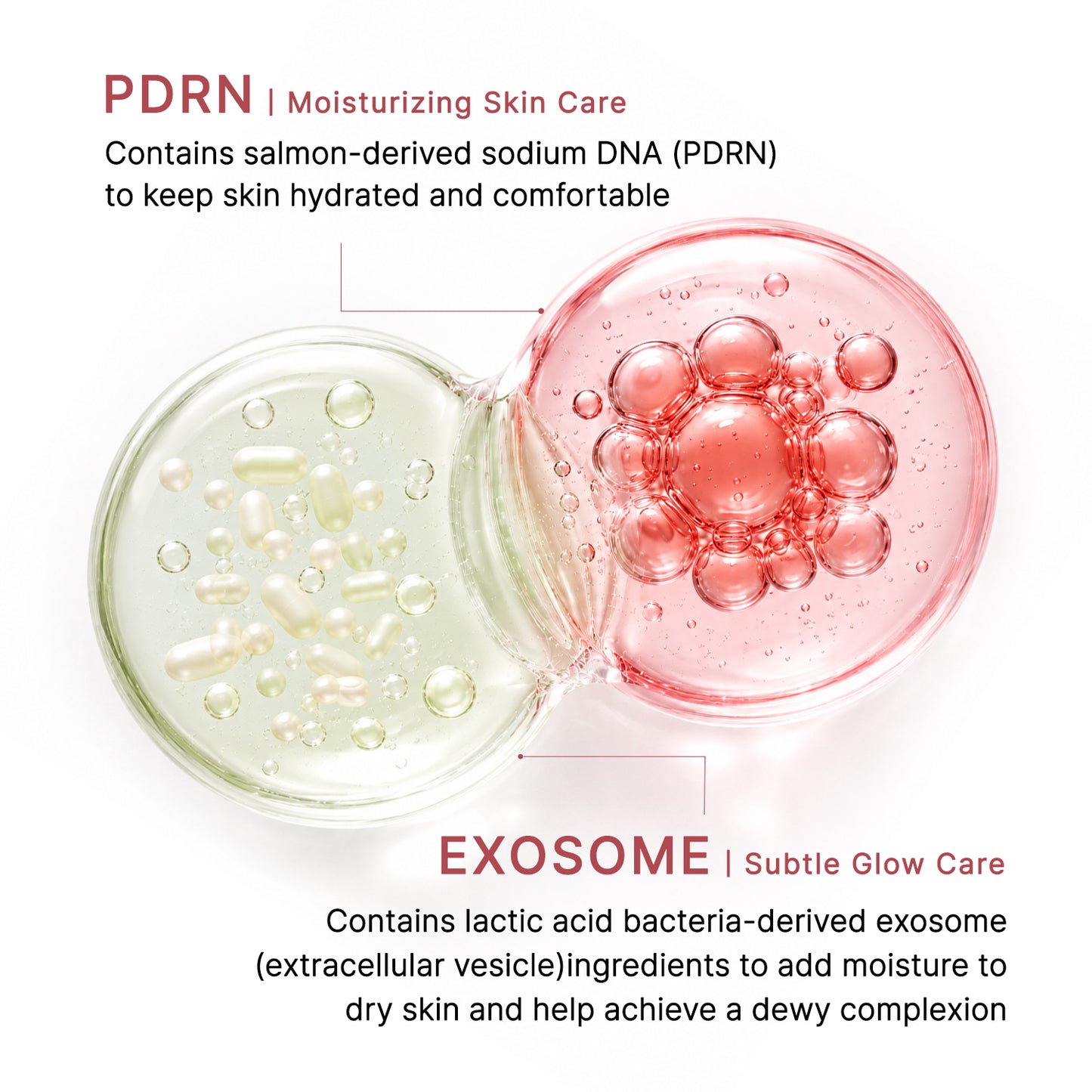 La Noubelle PDRN EXOSOME Booster Ampoule 50ml